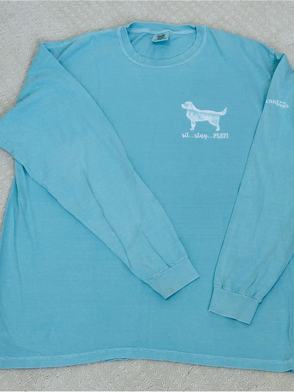 Comfort Colors Sea Blue Long Sleeve Dog Graphic Tee “The Snuggle is Real”